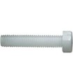 M8X65 TORNILLO HEXAGONAL DIN 933 NYLON
