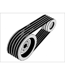 CORREA TRAP. XPB-2600 16x13x2600 lp