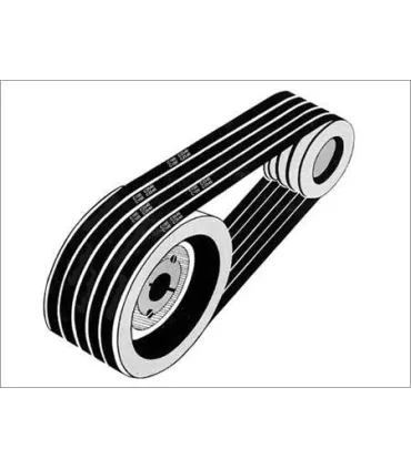 CORREA TRAP. SPA-2430 13x10x2430 lp