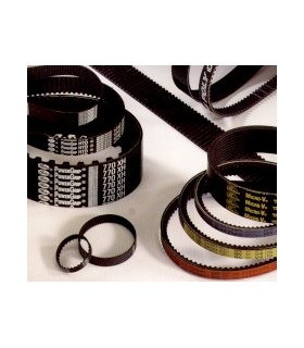 CORREA TRAPECIAL D 441 32x19x11201 Li