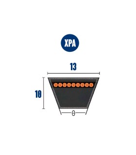 CORREA TRAP. XPA-1090 13x10x1090 lp