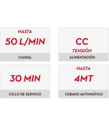 BOMBA GASOIL 12VOL SIN ACCESORIOS 40l/m