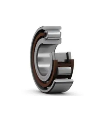 ROD.FAG.R.1HR.  NJ 2311  55x120x43