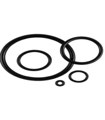 BOLSA 10 UNIDADES JUNTA TORICA NBR 28x36x4