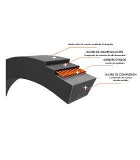 CORREA TRAP. SPA-807 13x10x807 lp