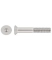 M8X10 TORNILLO AVELLANADO DIN 7991 INOX A4