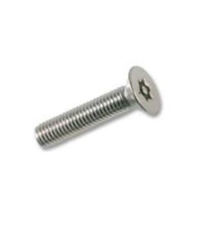 M4x25 TORN. AVELL. TORX DIN 7991 INOX A2