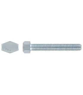 TORNILLO DIN 933 10.9 ZINCADO