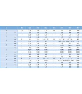 M10X45 TORNILLO CABEZA CUADRADA DIN 480