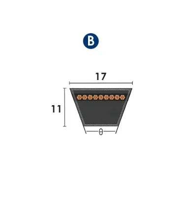 CORREA TRAPECIAL B 248 17x11x6300 Li