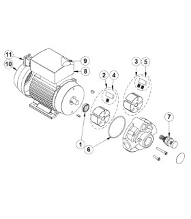 BOMBA TRASVASE ACEITE PALETAS 380V 2CV 50L/min 5Bar