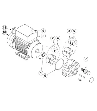BOMBA TRASVASE ACEITE PALETAS 380V 2CV 50L/min 5Bar