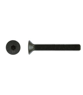 M20X100 TORNILLO AVELLANADO DIN 7991 12.9 NEGRO
