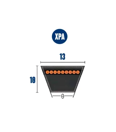 CORREA TRAP. XPA-1800 13x10x1800 lp