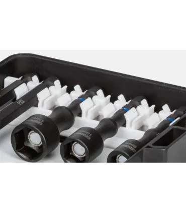 Juego de Puntas de Torsión, 42 piezas GEDORE