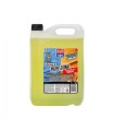 GARRAFA 5 LITROS ANTICONGELANTE 50% (-37ºC)