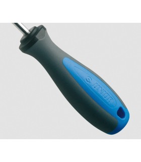 DESTORN. EXTRA LARGO PLANO 5,5x280/380