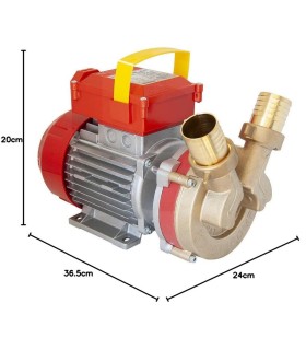 BOMBA ROVER-30 BRONCE 1CV 230V 4.500LH. AUTOASPIRANTE, BIDIRECCIONAL