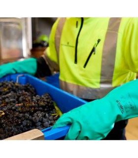 GUANTES DE NITRILO JUBA INTERFACE PLUS