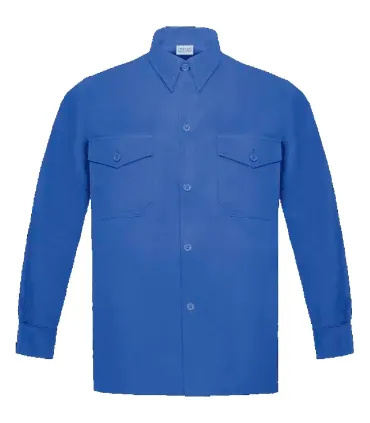 CAMISA AZUL MANGA LARGA DE ALGODÓN VESIN