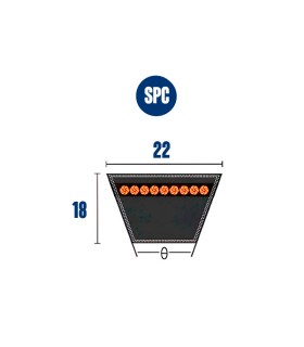 CORREA TRAPECIAL SPC 3550 22X18X3550 Lp