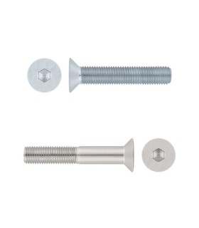 M10X100 TORNILLO AVELLANADO DIN 7991 INOX A2