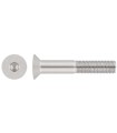 M10X60 TORNILLO AVELLANADO DIN 7991 INOX A2