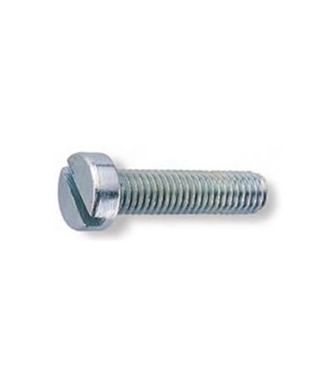 M2X20 TORNILLO CILINDRICO RANURADO DIN 84 ZINCADO