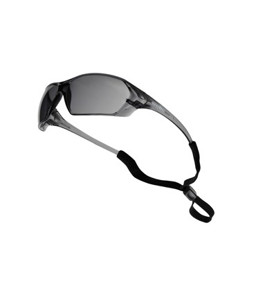 GAFA PRISM PC OCULAR AHUMADO