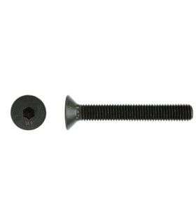 M20X40 TORNILLO AVELLANADO DIN 7991 12.9 NEGRO
