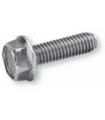 M12X50 TORNILLO DIN 6921 8.8 ZINCADO ARANDELA DENTADA