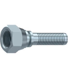HEMBRA GIRATORIA RECTA BSP CONO 60° 3/8" BSP DN 3/8"