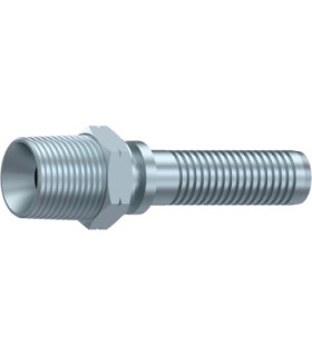 MACHO NPT 1/4" NPT DN 1/4"