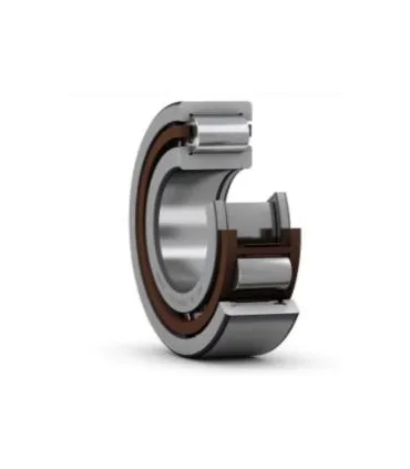 ROD.FAG.R.1HR.  NUP203  17x40x12x2,5