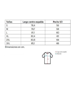 CAMISA IGNIFUGA + ANTIESTATICA