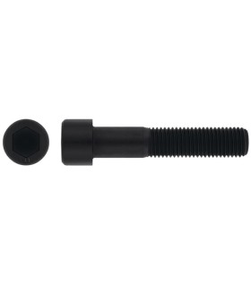 M7X25 TORNILLO ALLEN DIN 912 8.8 NEGRO