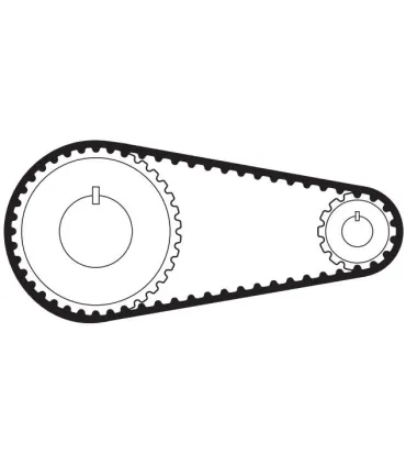 CORREA SINCRON DENT. 255L037