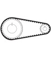 CORREA SINCRON DENT. 300L037