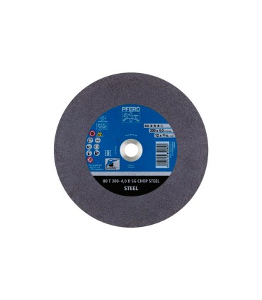 DISCO CORTE 80 T 300-4 A24 R SG A.32