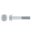TORNILLO DIN 6921 8.8 ZINC M4X10 ARANDELA LISA