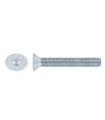 M12X30 TORNILLO AVELLANADO DIN 7991 10.9 ZINCADO