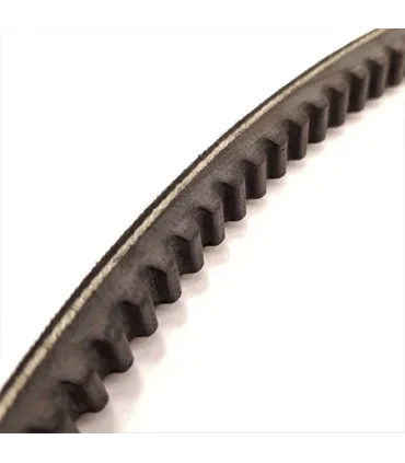 CORREA TRAP. DENTADA XPB 1590 / 5VX630 16x13x1590 Lp
