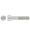 M6X55 TORNILLO ALLEN DIN 912 INOX A2