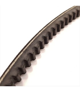CORREA TRAP. DENTADA XPA 3350 13x10x3350 Lp