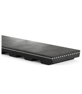 CORREA VARIADORA 42x13x1600 1600W40