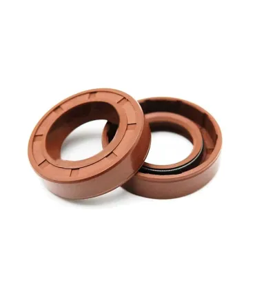 RETEN VITON  100x125x12 LABIO SIMPLE
