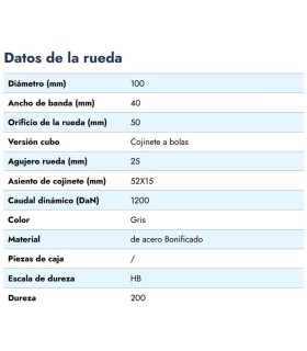 RUEDA HIERRO VAGONETA Ø100x50mm VALONA 125mm EJE 25mm CARGA 1200Kgs