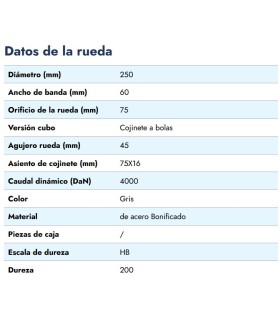 RUEDA HIERRO VAGONETA Ø250x75mm /VALONA 290mm EJE 45mm CARGA 4000KG