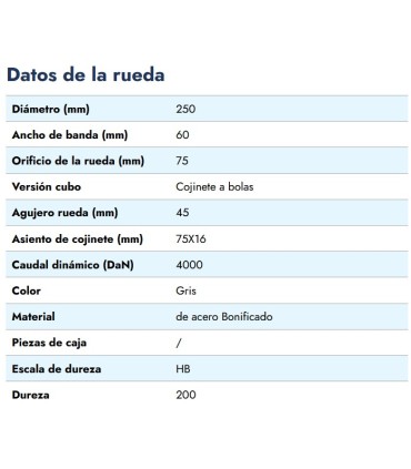 RUEDA HIERRO VAGONETA Ø250x75mm /VALONA 290mm EJE 45mm CARGA 4000KG