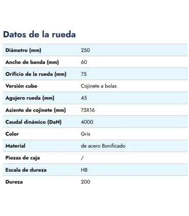 RUEDA HIERRO VAGONETA Ø250x75mm /VALONA 290mm EJE 45mm CARGA 4000KG